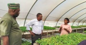 Agribusiness: When OYSADA DG Received Plateau Delegation On Cassava Production, Livestocks Farming