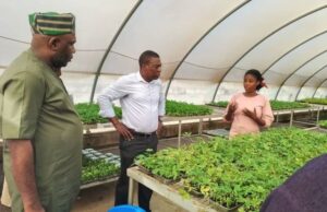 Agribusiness: When OYSADA DG Received Plateau Delegation On Cassava Production, Livestocks Farming