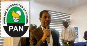 Our Products Are Very Much Available During This Season – Poultry Association Boss, Ezeobiora