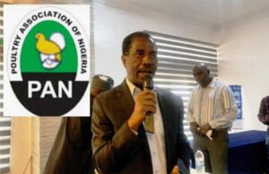 Our Products Are Very Much Available During This Season – Poultry Association Boss, Ezeobiora