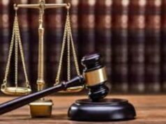 Akure Court Docks Man, 39, For Allegedly Stealing Pregnant Dog