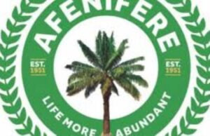 Afenifere Identifies Why Terrorists Are Attacking Kwara, Kogi Communities