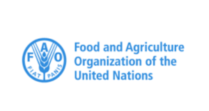 FAO Releases Report Of How Global food Prices Dropped By 2% In 2024