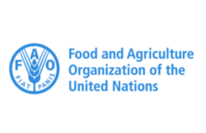 FAO Releases Report Of How Global food Prices Dropped By 2% In 2024