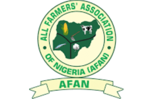 AFAN Confirms FG’s Plans To Empower 500,000 Rice Farmers
