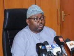 So Sorry For Persistent Power Outages, Adebayo Adelabu Begs Nigerians Chief Adebayo Adelabu