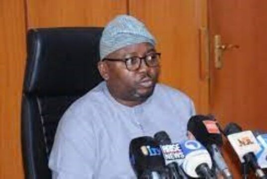 So Sorry For Persistent Power Outages, Adebayo Adelabu Begs Nigerians Chief Adebayo Adelabu