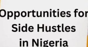 Check Out Seven Profitable Side Hustles Nigerian Graduates Can Start With Little Or No Capital