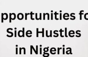Check Out Seven Profitable Side Hustles Nigerian Graduates Can Start With Little Or No Capital