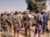 Bandits Strike Again In Yorubaland, Abduct 12 In Ondo ...bandits...in their hideout...