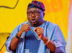 Adelabu To Nigerians: Power Outage Temporary, Supply’ll Return In 48 Hours Adebayo Adelabu