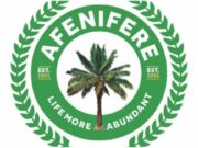 Afenifere To Southwest Govs: It’s Time To Strengthen Amotekun To Secure Our Region