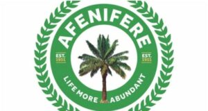 Terror Attacks, Kidnappings In Kwara, Others Worries Afenifere