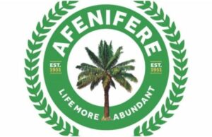 Afenifere Says Conventional War Not Answer To Nigeria’s Terrorism Problem