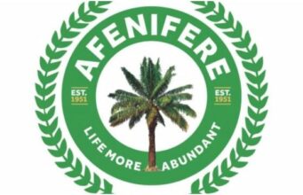 Terror Attacks, Kidnappings In Kwara, Others Worries Afenifere