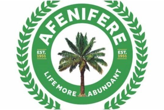It’s Time To Strengthen Amotekun, Afenifere Urges S/West Govs