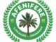 Terror Attacks, Kidnappings In Kwara, Others Worries Afenifere