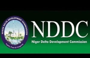 Scandal Of ₦6tn At NDDC: Court Orders FG To Name Culprits