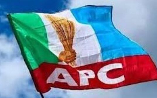 APC Shuts Door On Primary Results’ Review Ahead 2027