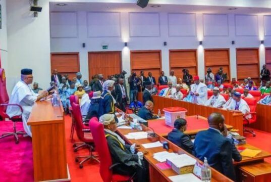 Senate Reveals Plans To Prevent Governors From Abusing State Police
