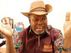 U.S-Isreal VS Iran War: Take Proactive Measures To Forestall Induced Hardship On Nigerians, Expert Urges Tinubu Engineer Michael Ale