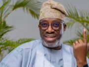 Don’t Blame Tinubu For PDP’s Woes—Showunmi