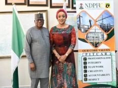 Togo Seeks More Electricity Imports From Nigeria