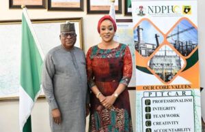 Togo Seeks More Electricity Imports From Nigeria