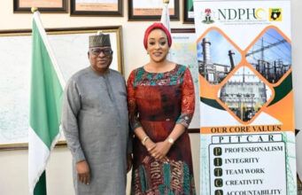 Togo Seeks More Electricity Imports From Nigeria