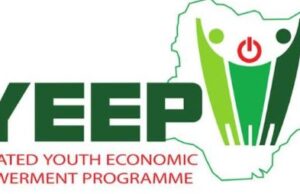 FG To Commence Recruitment For YEIDEP Batch B Beneficiaries March 9