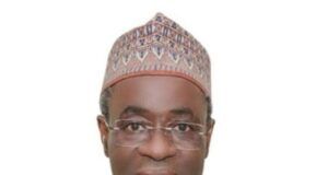 Nigeria Undergoing Economic Adjustment, Not Collapse—Budget Office DG