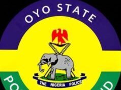 Oyo Police Nab Man With Six-Year-Old Girl’s Head