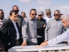 Dangote, Sanford Move To Deepen Investments In Tanzania, Ethiopia