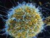 Doctors To Govts: Prepare Nigerians For Possible Ebola Outbreak