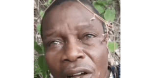 Psychiatrists Warn About School Attacks, Say ‘It May Cause Depression In Children Michael Oyedokun...beheaded...