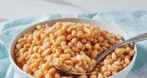 Nutritionists’ Pronouncement: Beans Contain More Carbohydrates Than Protein White bowl filled with cooked chickpeas and a metal spoon resting in them on a light blue cloth