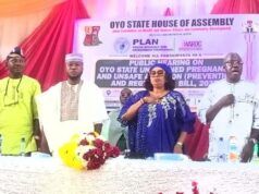 Unplanned Pregnancy And Unsafe Abortion Bill: Oyo Assembly Promises Speedy Passage To Reduce Maternal Mortality