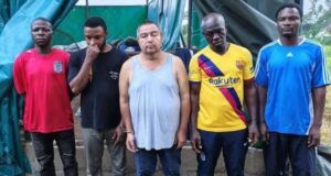NDLEA Uncovers Another Industrial Meth Lab Inside Oyo Forest