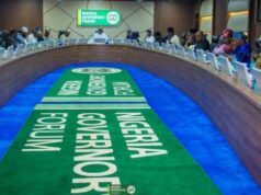 Governors Intensify Support For State Police To Tackle Insecurity; Seek Safeguards On Rights, Federalism