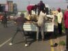 Open Grazing Violation: OYRLEA Impounds Six Cows In Ibadan