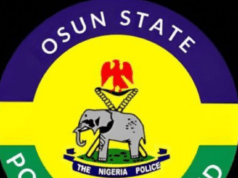 Police Arrest 3 Suspected Cultists, Political Thugs In Osun, Recover Weapons Logo of Osun State Police Command, featuring Nigeria Police emblem with a yellow center and purple top band, green bottom band, and an elephant with a red crest above a blue banner reading 'The Nigeria Police'.