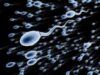 Experts’ Proclamation: Only 25% Of Men Have Healthy Sperm