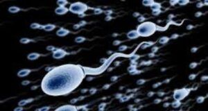 Experts’ Proclamation: Only 25% Of Men Have Healthy Sperm