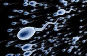 Experts’ Proclamation: Only 25% Of Men Have Healthy Sperm
