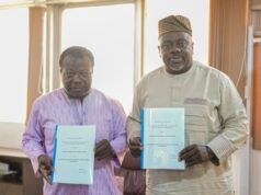 Promotion Of Diaspora Investments Into S/West: DAWN Commission Partners Egbe Omo Yoruba North America