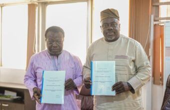 Promotion Of Diaspora Investments Into S/West: DAWN Commission Partners Egbe Omo Yoruba North America