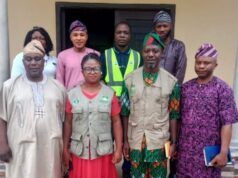 Oyo Govt., NESREA Strengthen Partnership To Tackle Illegal Mining, Environmental Degradation