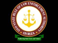 Illegal Grazing: OYRLEA Impounds 19 Cows In Iseyin