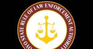 Illegal Grazing: OYRLEA Impounds 19 Cows In Iseyin