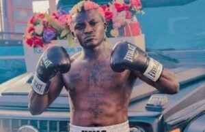 You Risk Life-Altering Injuries, Neurosurgeons Warn Potable, Other Untrained Celebrity Boxers Potable...getting ready for boxing action...